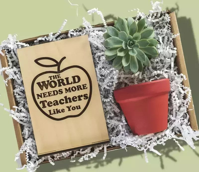Top 5 Reasons Succulents Are The Best Plants for Teacher Gifts