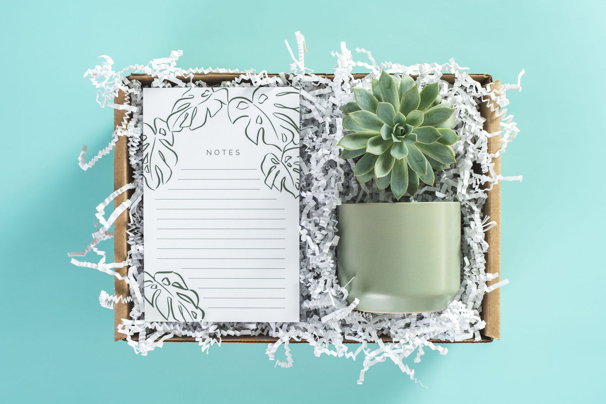 Monstera Notepad Gift Box