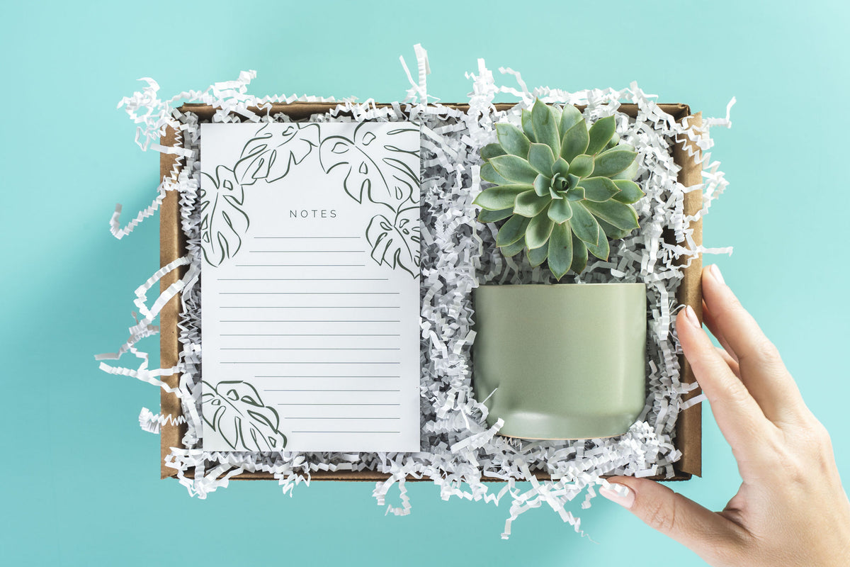 Monstera Notepad Gift Box