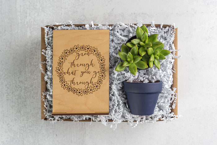 Grow Through Gift Box