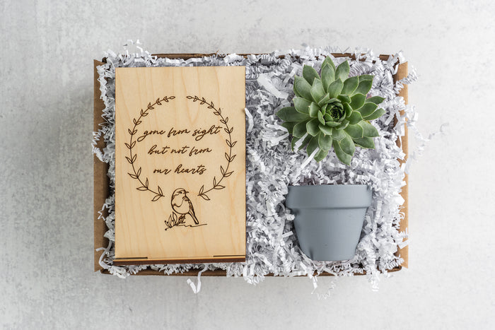 Gone from Sight Gift Box