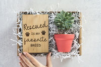 Rescued Gift Box