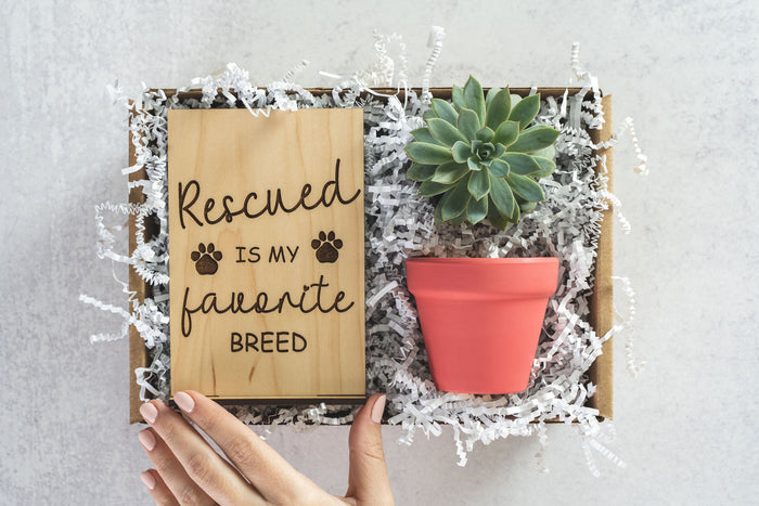 Rescued Gift Box