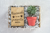 Rescued Gift Box
