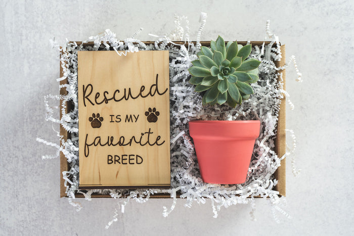 Rescued Gift Box