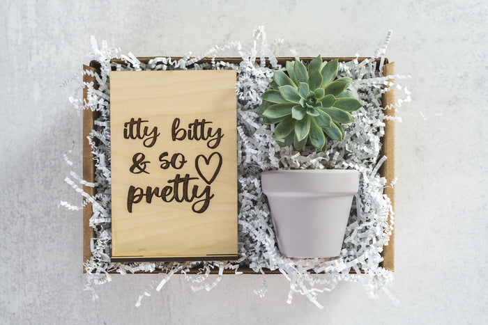 Itty Bitty Gift Box