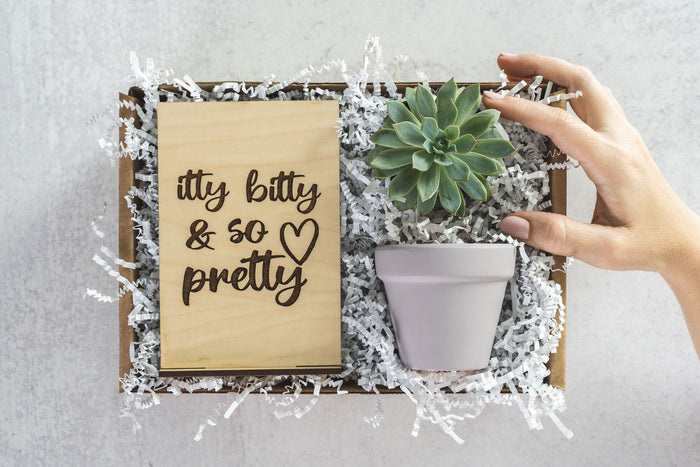 Itty Bitty Gift Box