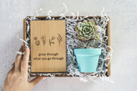 Grow Gift Box