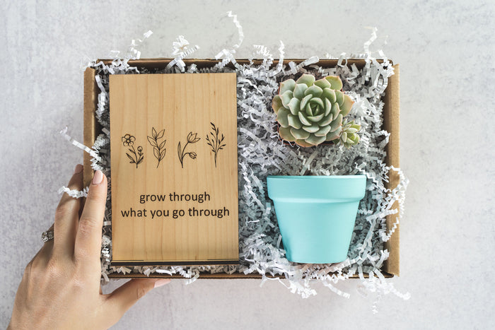 Grow Gift Box