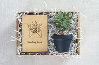 Sending Love Gift Box
