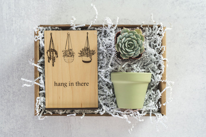 Hang in There Gift Box
