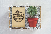 Teachers Like You Gift Box
