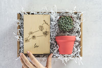 Leo Gift Box