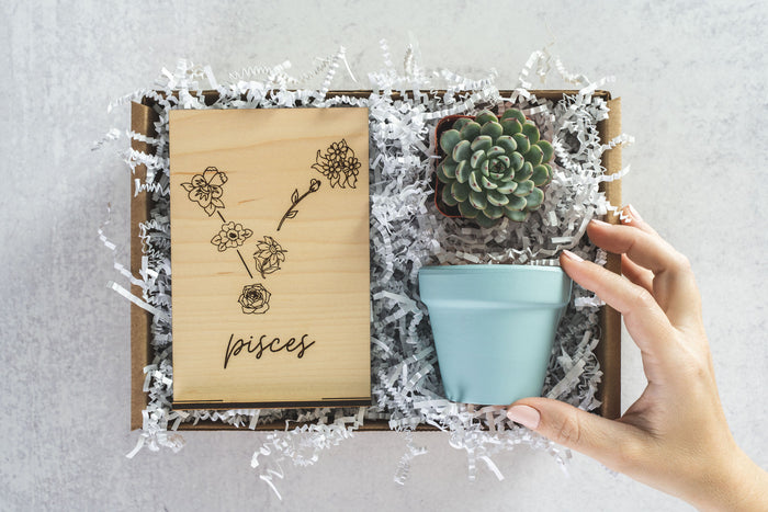 Pisces Gift Box