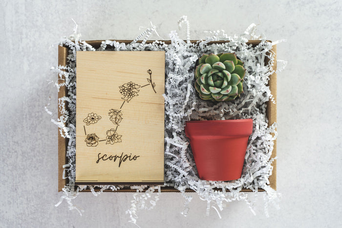 Scorpio Gift Box