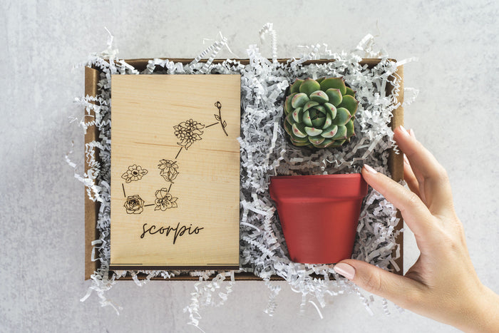 Scorpio Gift Box