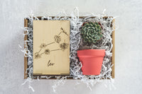 Leo Gift Box