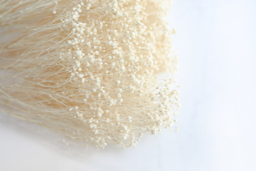 Bleached Broom Bloom Succulent Bar