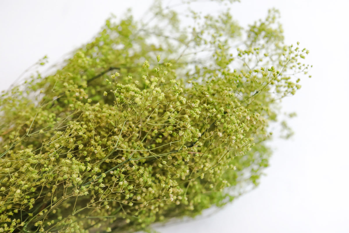 Light Green Stardust