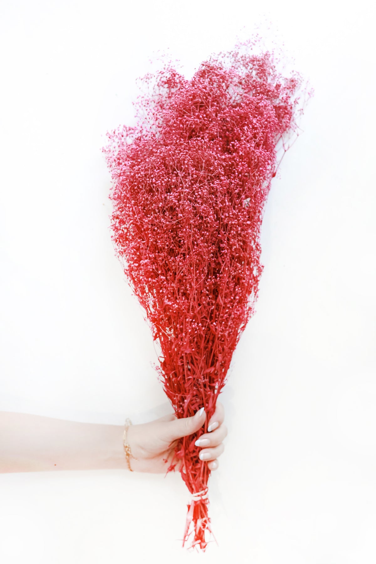 Fuchsia Pink Stardust