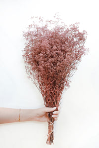 Mauve Stardust