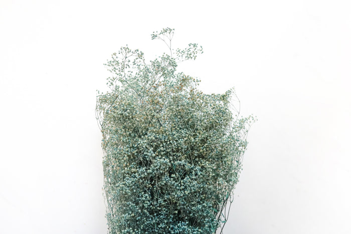 Light Blue Stardust