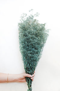 Light Blue Stardust