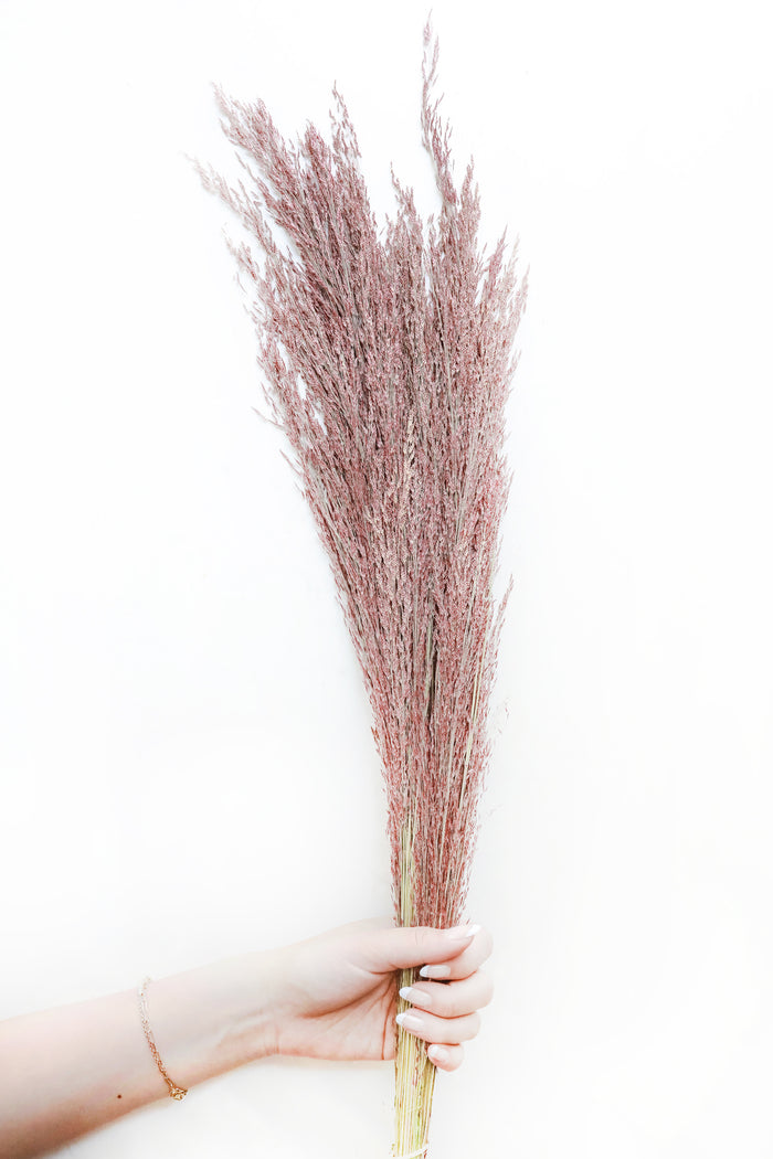 Ruby Silk Grass