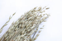 Natural Oats
