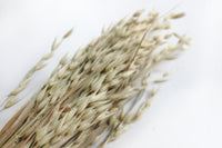 Natural Oats
