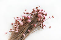 Pink Floral Buttons