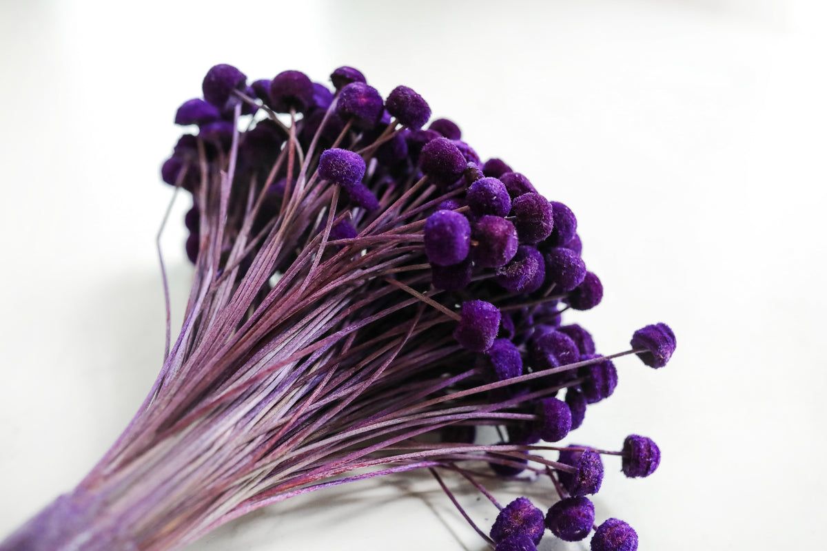 Purple Floral Buttons