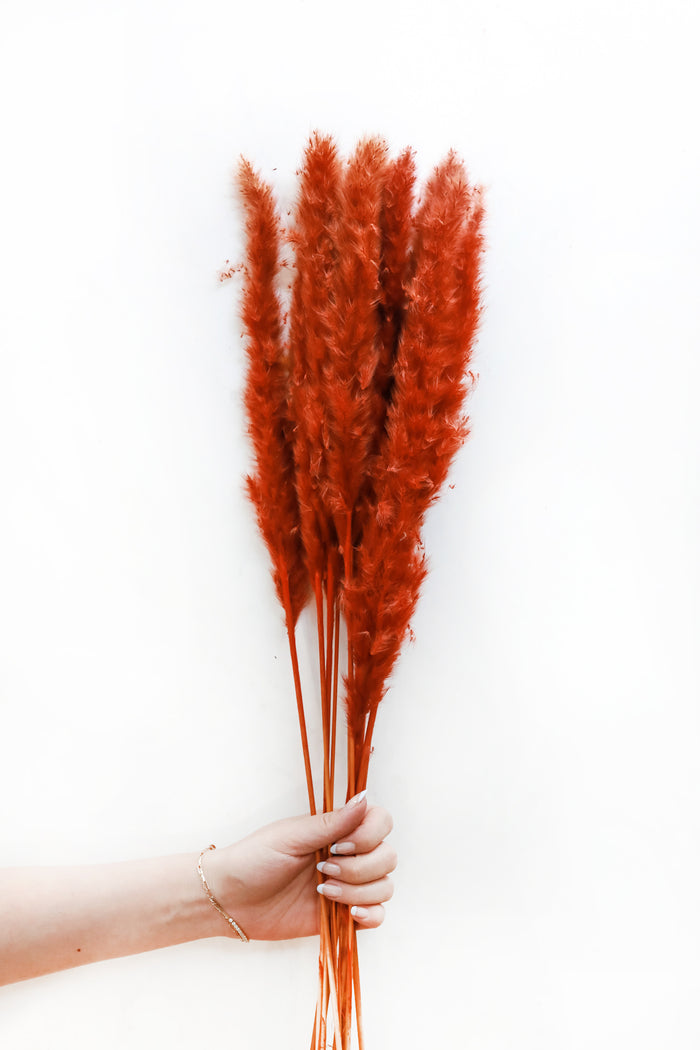 Burnt Orange Skinny Pampas Grass