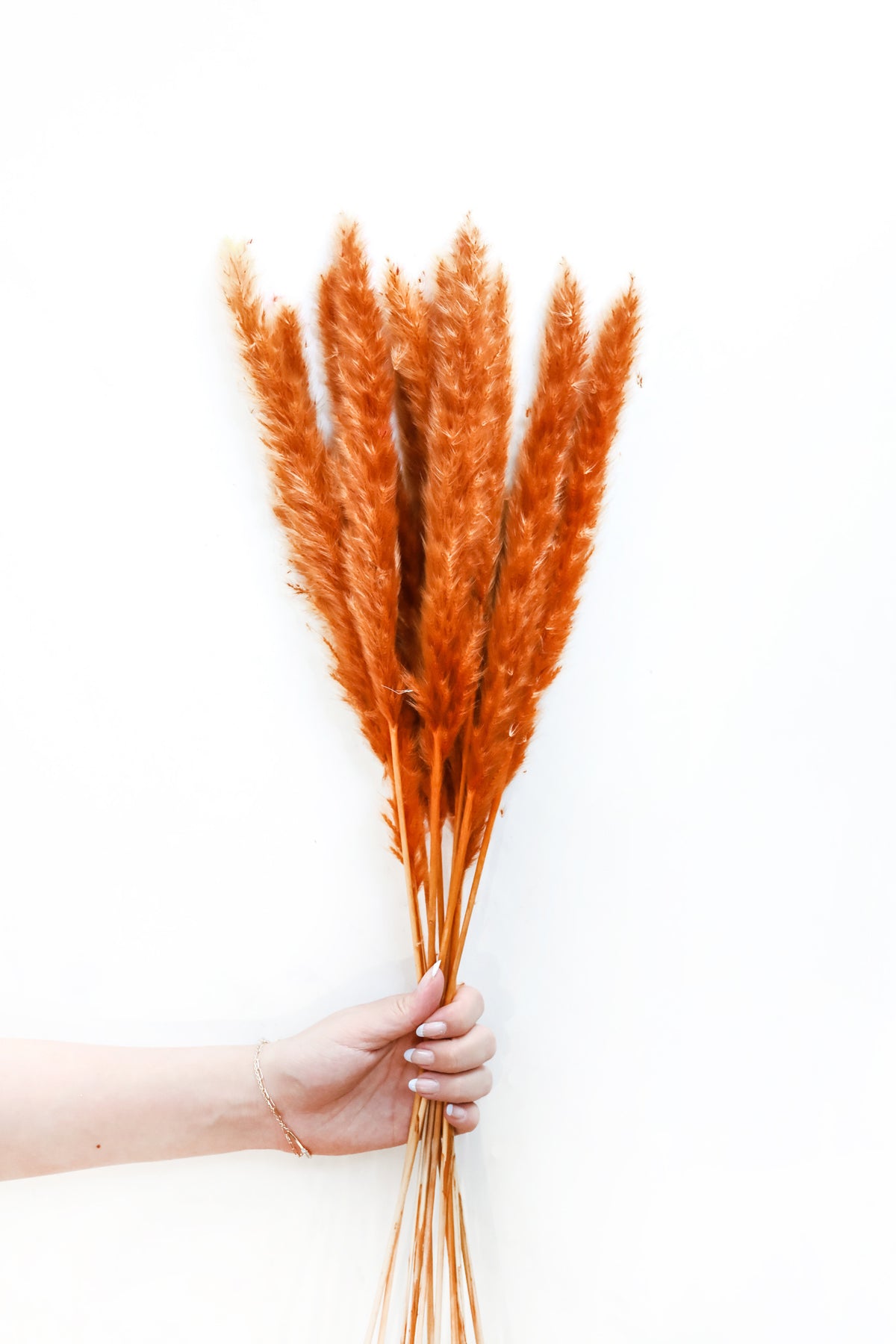 Burnt Orange Skinny Pampas Grass