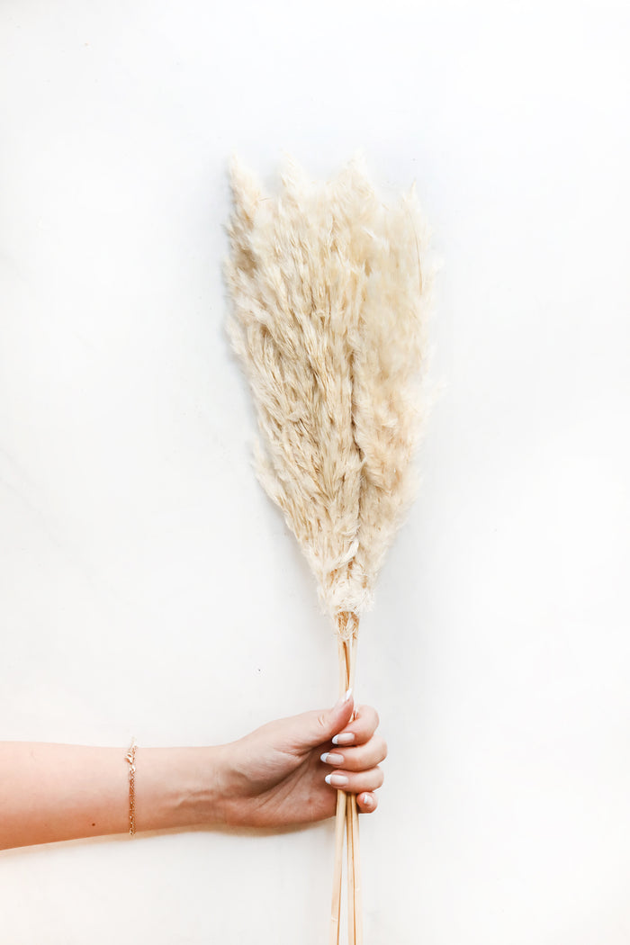 Skinny Tan Pampas Grass