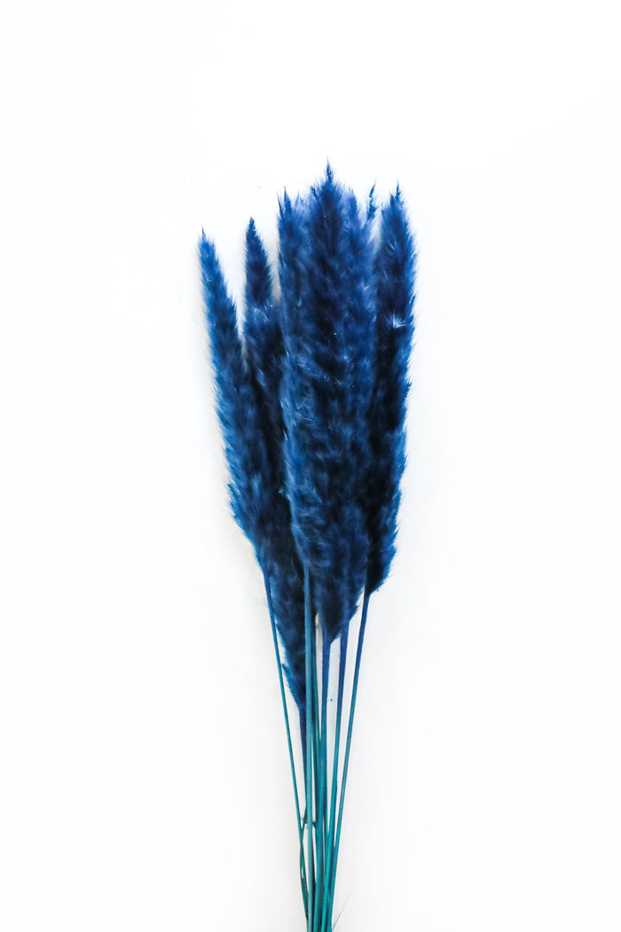 Blue Skinny Pampas Grass