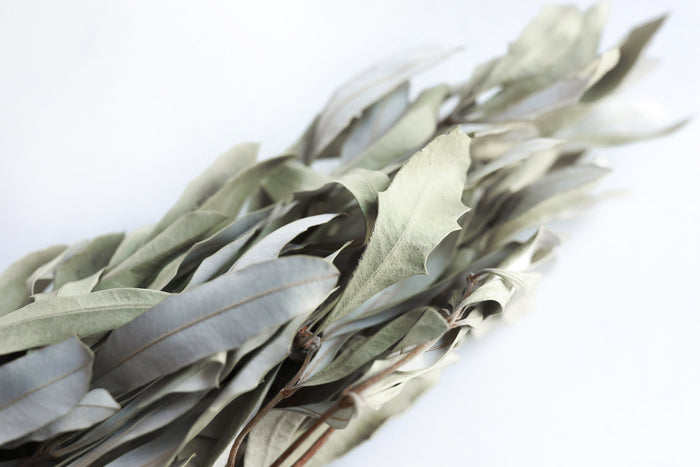 Natural Integrifolia