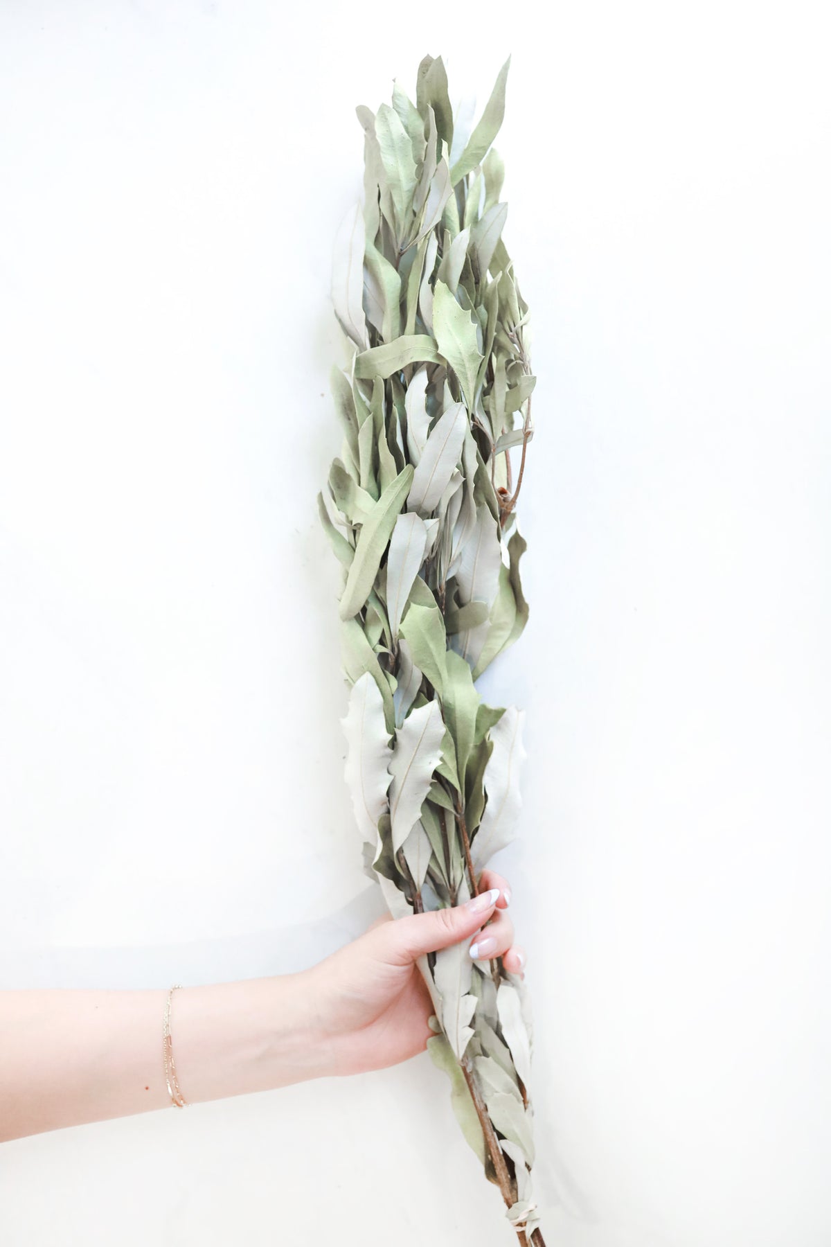 Natural Integrifolia