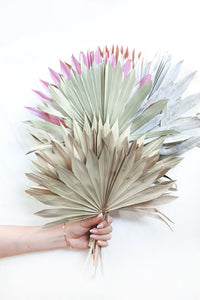 Sun Palms