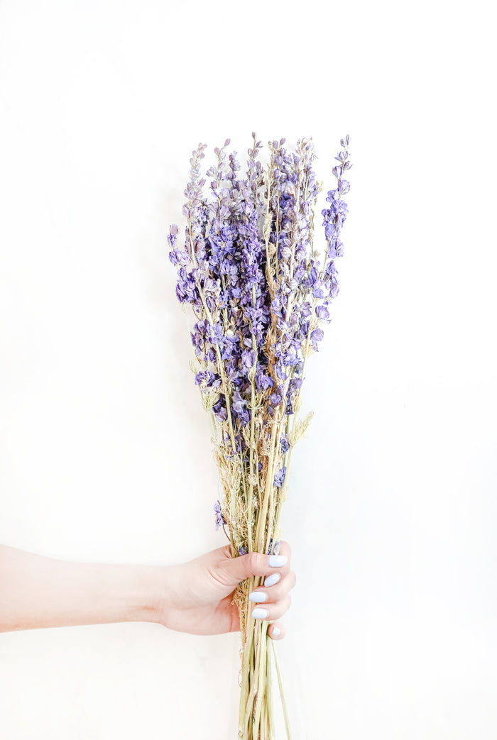 Purple Larkspur