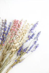 Mixed Larkspur