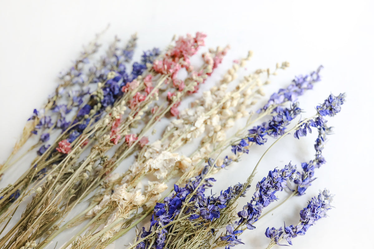 Mixed Larkspur