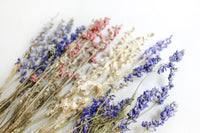 Mixed Larkspur