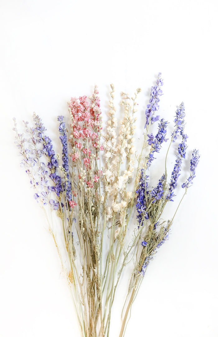 Mixed Larkspur
