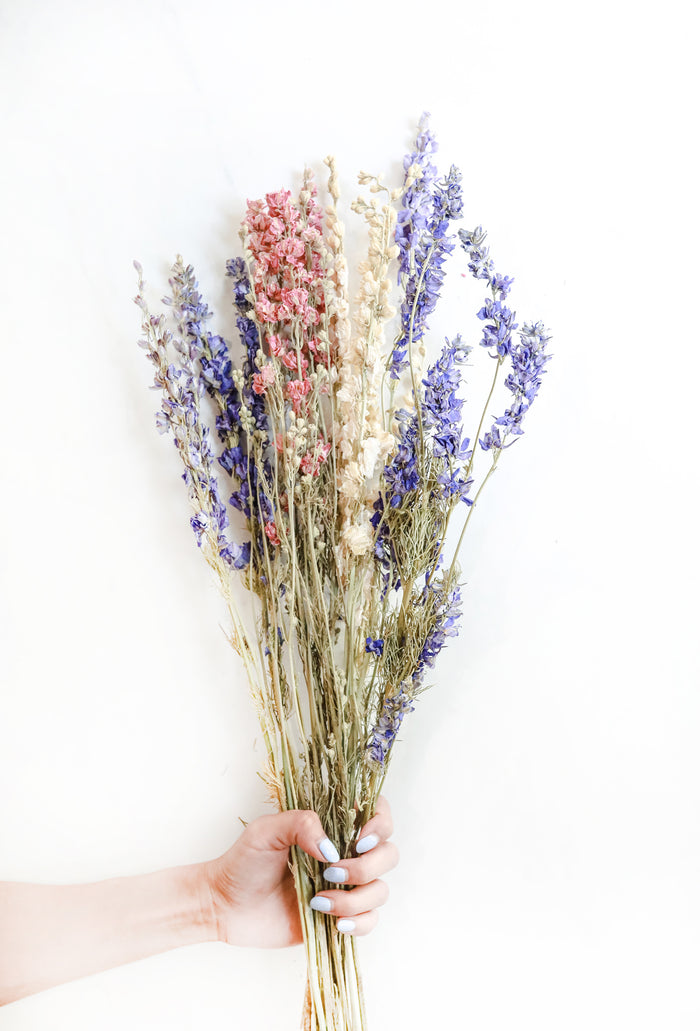 Mixed Larkspur