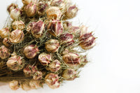 Nigella