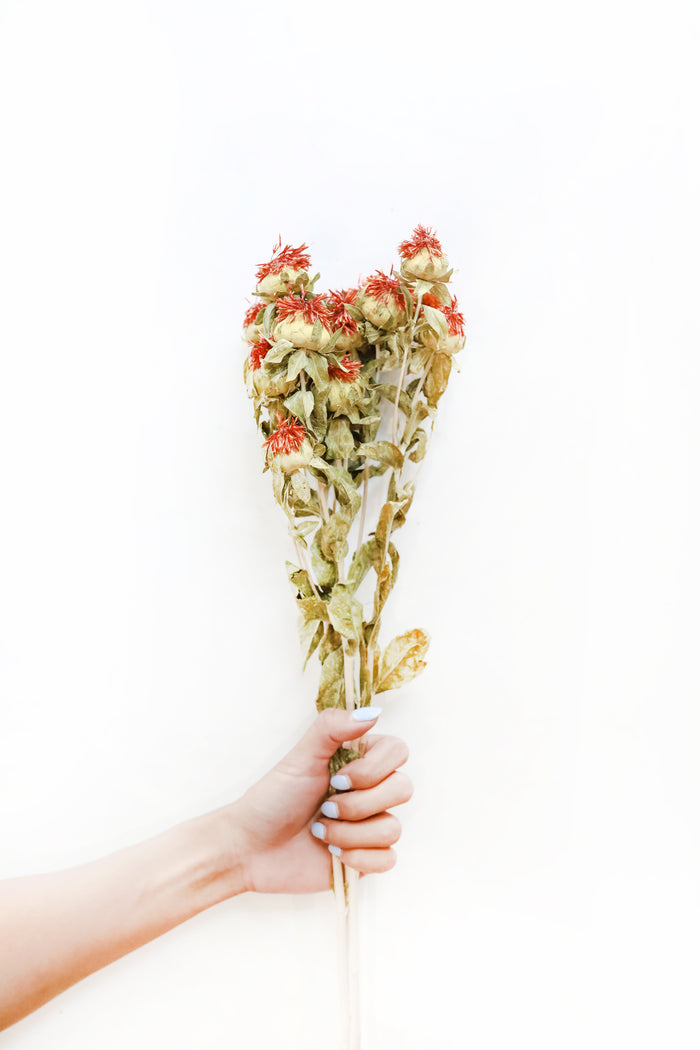 Safflower