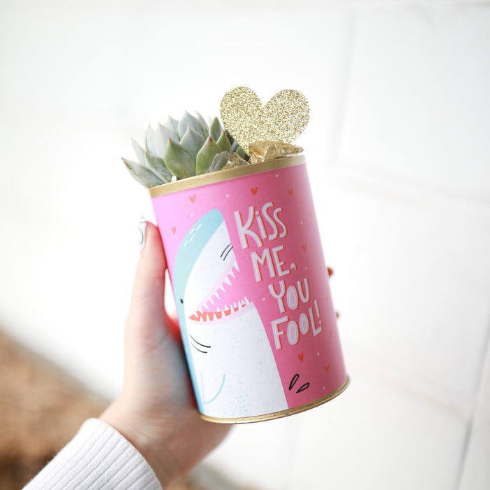 Perfect Match Pots