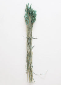 Blue Bunny Tails