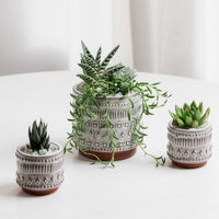 Freja Pot Arrangement